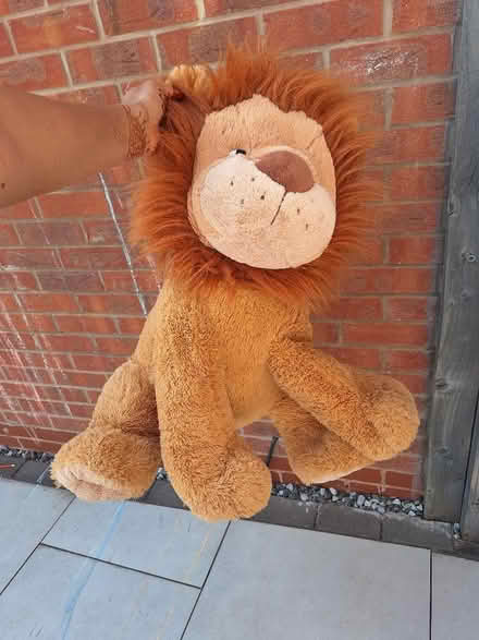Photo of free Soft lion,teddy bear big size (Solihull B90) #1