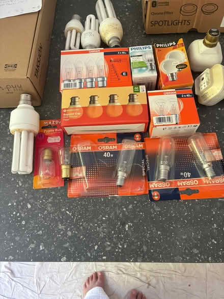 Photo of free Older Style Lightbulbs (Faversham ME13) #1