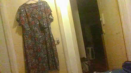 Photo of free 2 x Dresses (Bath BA2) #1