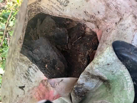 Photo of free Bags of coal (Tunbridge wells TN4) #1