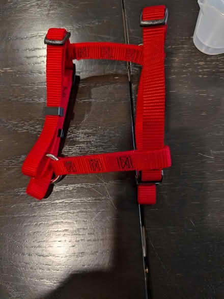 Photo of free Red Doggie Harness (Broadview) #1