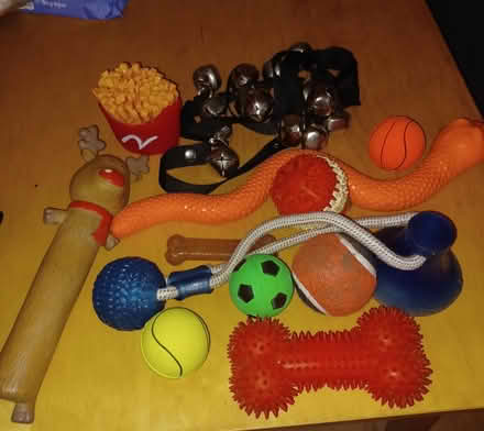 Photo of free Assorted dog items (BL8 Tottington, Bury) #1
