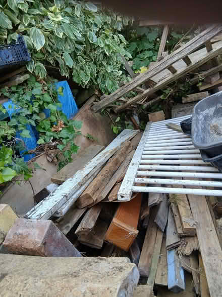 Photo of free Mountain of wood (Tile Hill CV4) #2