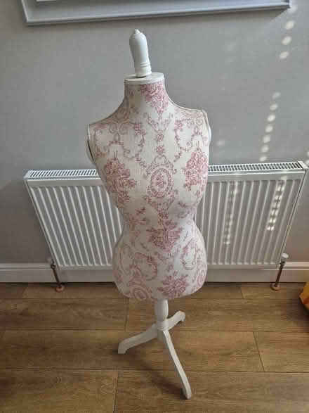 Photo of free mannequin (Gillingham ME7) #1