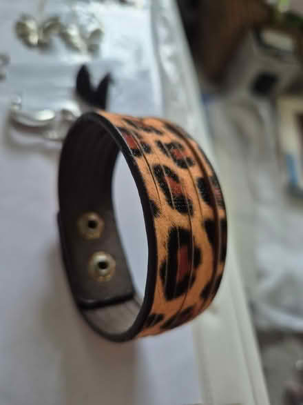 Photo of free Costume jewelery (Douglas) #3