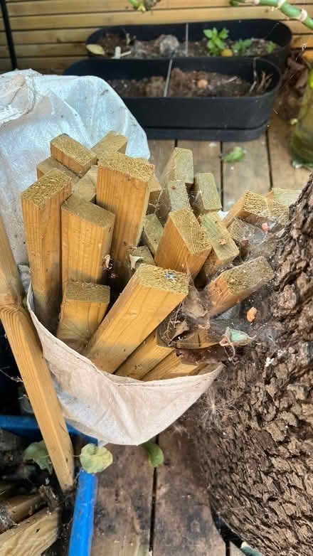 Photo of free Wood (Peckham SE15) #3
