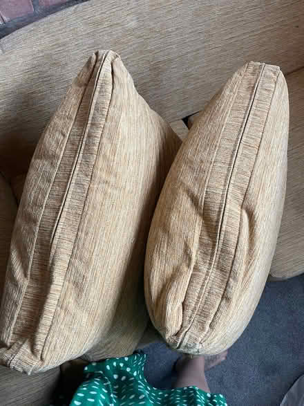 Photo of free Sofa bed (Rayleigh SS6) #2