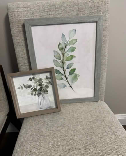 Photo of free Eucalyptus Pics (Wakefield) #1