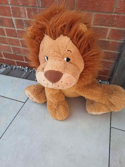 Photo of free Soft lion,teddy bear big size (Solihull B90) #2
