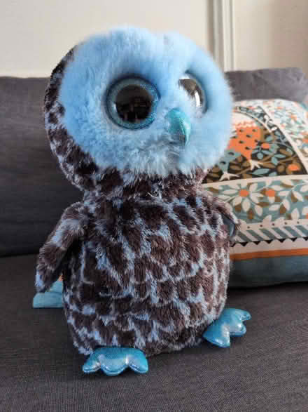 Photo of free Soft and clean Owl toy (Battle TN33) #1