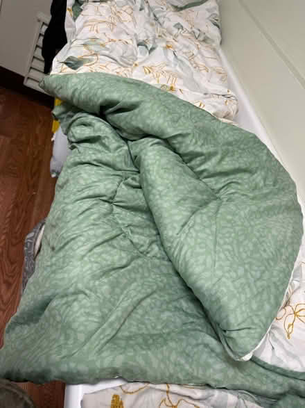 Photo of free Queen-size comforter & pillowcases (1075 Valencia Avenue) #3