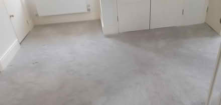 Photo of free Pale green carpet (GL6 (Chalford)) #2