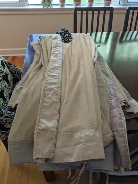Photo of free Gazebo mosquito netting (McKellar Park/Westboro) #1