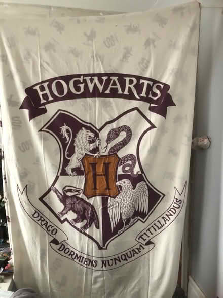 Photo of free Harry Potter stuff (St Lukes) #2