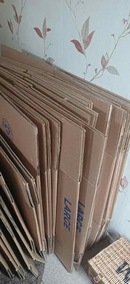 Photo of free Packing/Removals Boxes (Rastrick HD6) #2