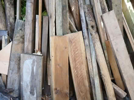 Photo of free Large mixed pile of wood (Tile Hill CV4) #3