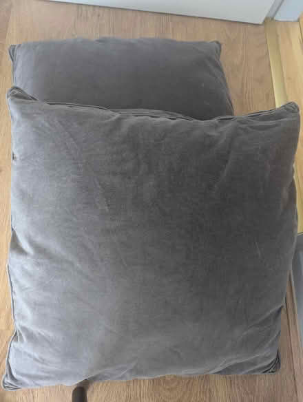 Photo of free Cushions (2) (Sunny Hill DE23) #1