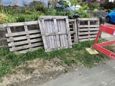 Photo of free 4 Pallets (Beauchief S8) #1