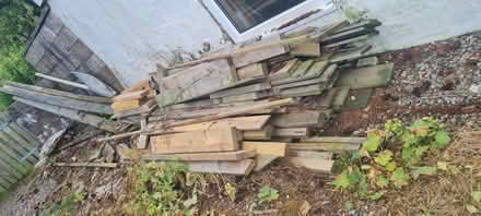 Photo of free Wood (Fowlis Wester PH7) #1