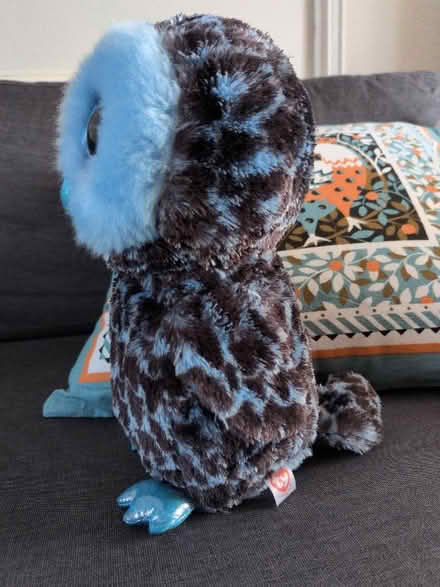 Photo of free Soft and clean Owl toy (Battle TN33) #2