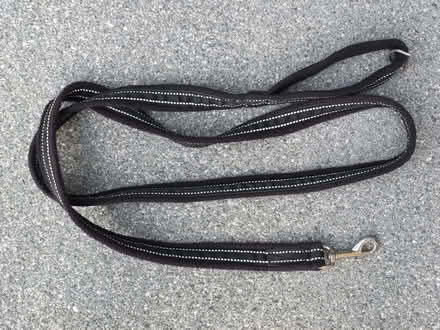 Photo of free Strong Dog Lead. (Old Farm Park MK7) #1