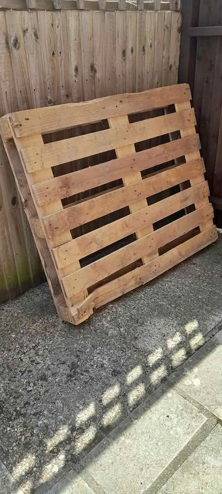 Photo of free Pallet (TN40 bexhill) #1
