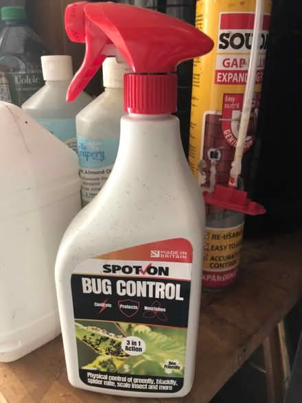 Photo of free Bug control - used (oxford OX4) #1