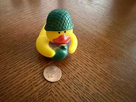 Photo of free Rubber ducks (Downers Grove - South) #2