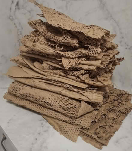 Photo of free Honeycomb packing paper (Castle Ward Lancaster LA1) #1