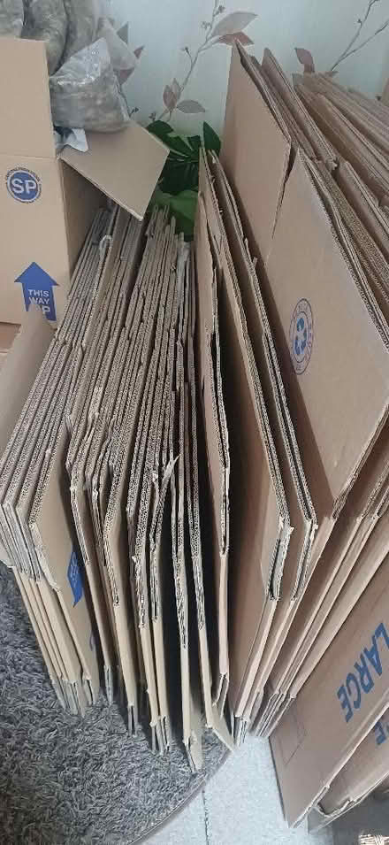 Photo of free Packing/Removals Boxes (Rastrick HD6) #1