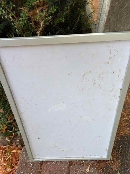 Photo of free Wipe Board (Purley CR8) #1