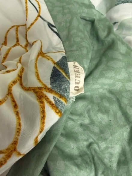 Photo of free Queen-size comforter & pillowcases (1075 Valencia Avenue) #4