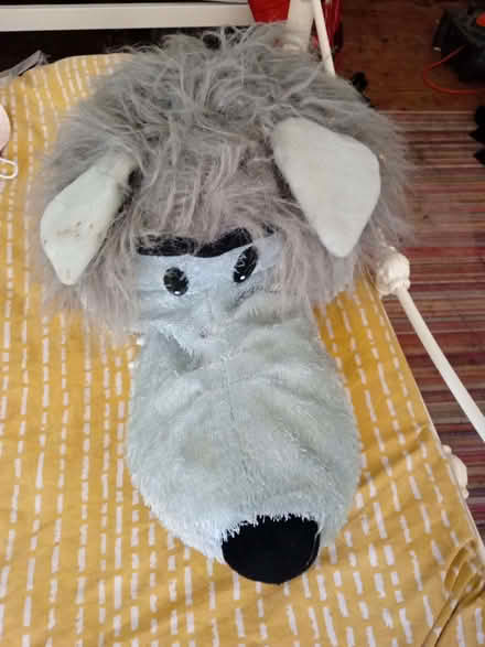Photo of free Large wolf head (Chatham ME5) #1