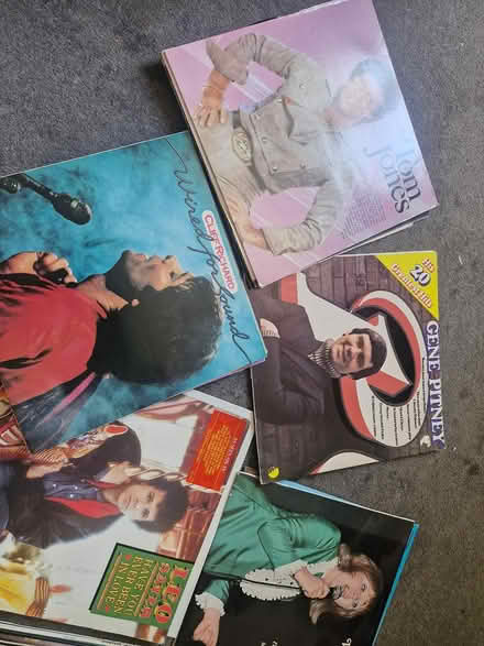 Photo of free Vinyls (Moulscoombe BN1) #3
