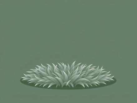 Photo of free Turf (Binsted BN18) #1
