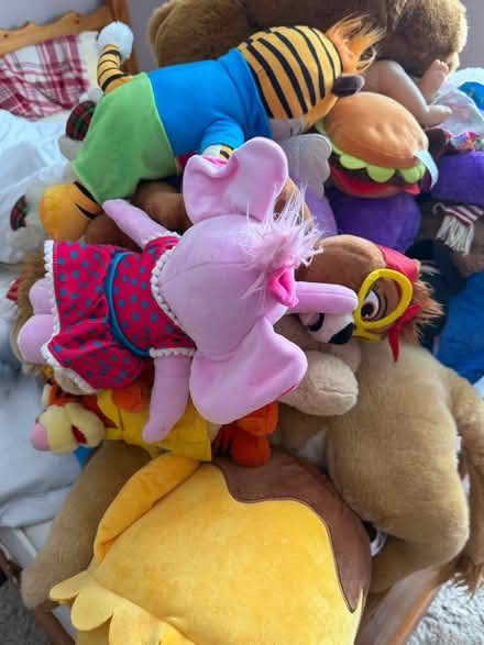 Photo of free Teddies and few dolls (Shefford SG17) #2
