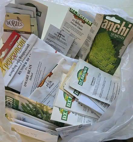 Photo of free Assorted packets of seeds (Canning Circus, Nottingham NG7) #1