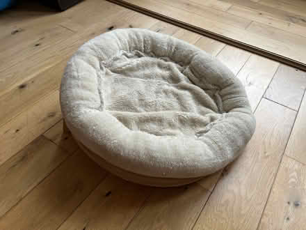 Photo of free Cat bed (Ibrox G51) #1