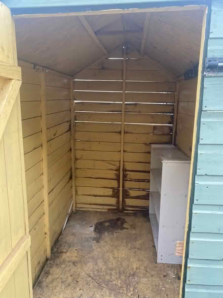 Photo of free Wooden garden shed (Worthing. BN14) #2