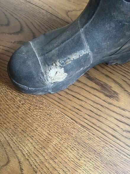 Photo of free Muckboot Wellies UK 7 (Teddington TW11) #3