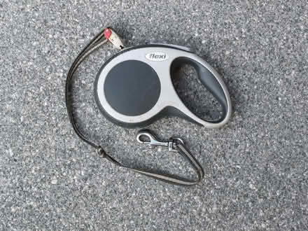 Photo of free Dog Flexi Lead - For Small Dog (Old Farm Park MK7) #1