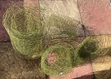 Photo of free Green wire plastic netting (Barton OX3) #1