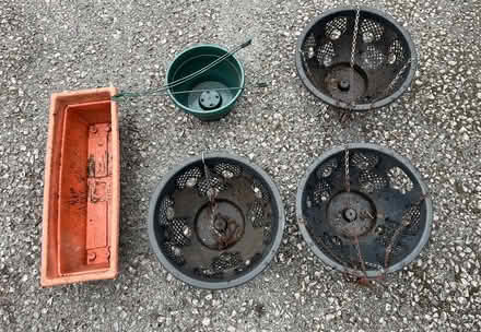 Photo of free 4 hanging baskets 1 trough planter (Bidston CH43) #2