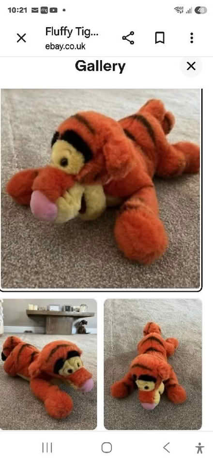 Photo of fluffy disney tigger toy (Mile Cross NR3) #1