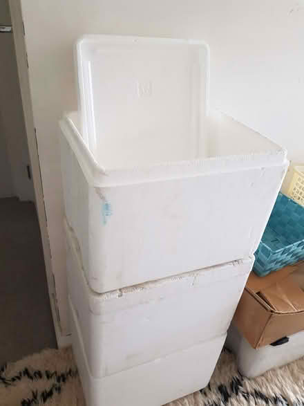 Photo of free Polystyrene boxes with lids (Kendal LA9) #1
