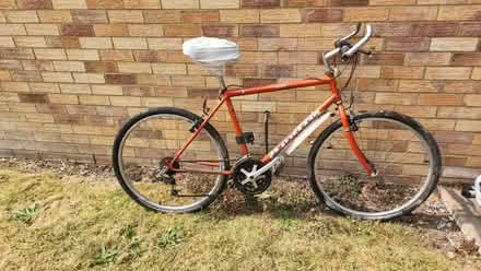 Photo of free 3 bikes for repair or spares (Wildridings RG12) #2