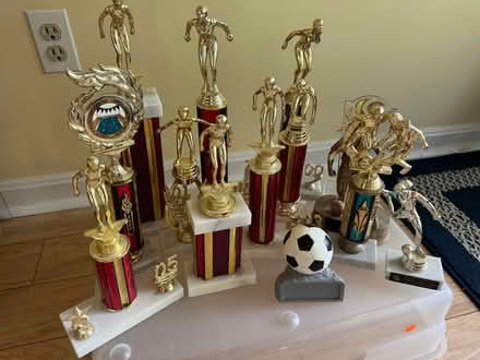 Photo of free swimming and soccer trophies (Ellicott City. Turf Valley.) #1