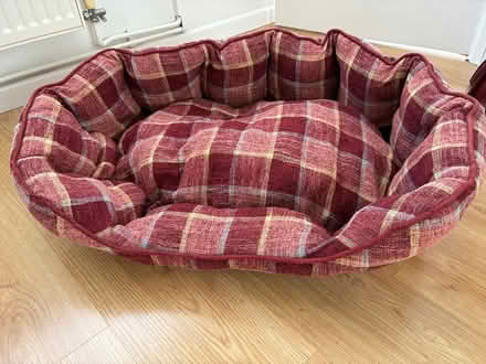 Photo of free Soft dog bed (Southville, Cwmbran) #2