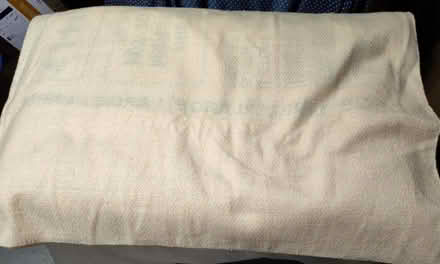 Photo of free Large tan protective Moving Blanket (Saugus) #1