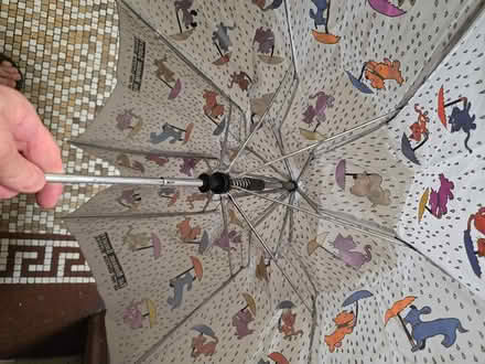 Photo of free Cute Pet Umbrella - Needs Repair (Washington Heights / Inwood) #2